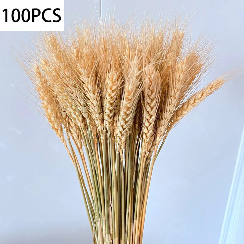 100 Pcs Wheat Ears Dried Flower Bouquet – Wedding & Home Decor Dried Flower Bouquet Axl Natural