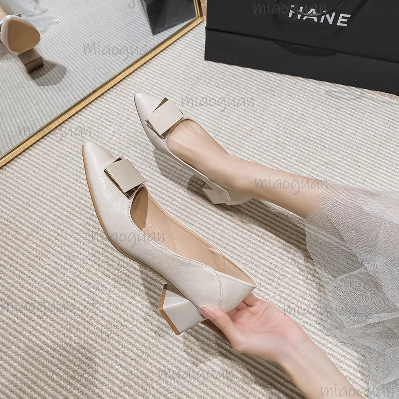 Women's Low Heel Pumps – Pointed Toe Slip-On Dress Shoes Low Heel Pumps Axl