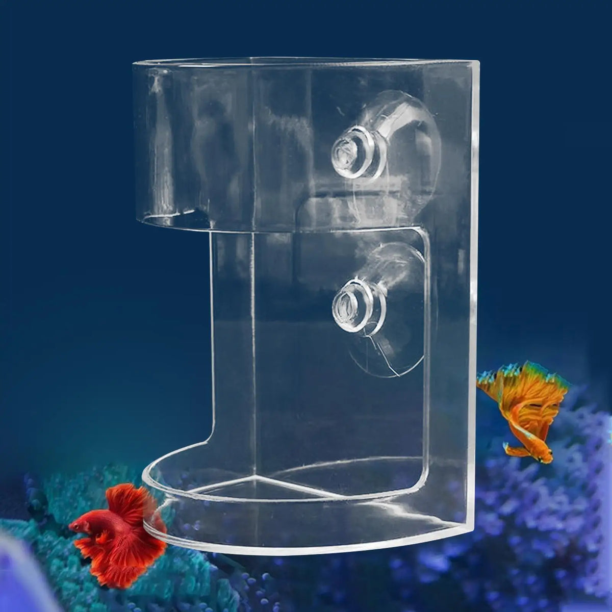 Large Capacity Shrimp Feeding Dish | Clear Aquarium Fish Feeder Aquarium Fish Feeder Axl