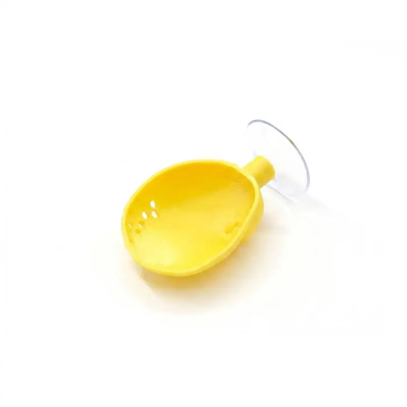 Shell-Shaped Betta Feeding Dish with Suction Cup | Fish Tank Aquarium Feeding Dish Axl C