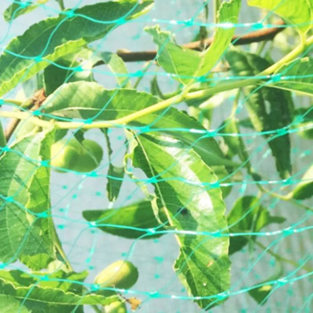 Reusable Anti-Bird Garden Net – PE Plant Protection Netting Garden Protection Net Axl