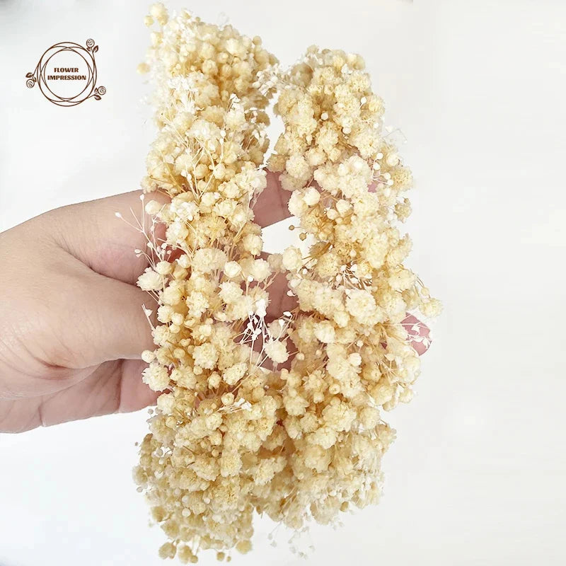 Handmade Baby's Breath Flower Crown – Dry Gypsophila Wreath Flower Crown Wreath Axl