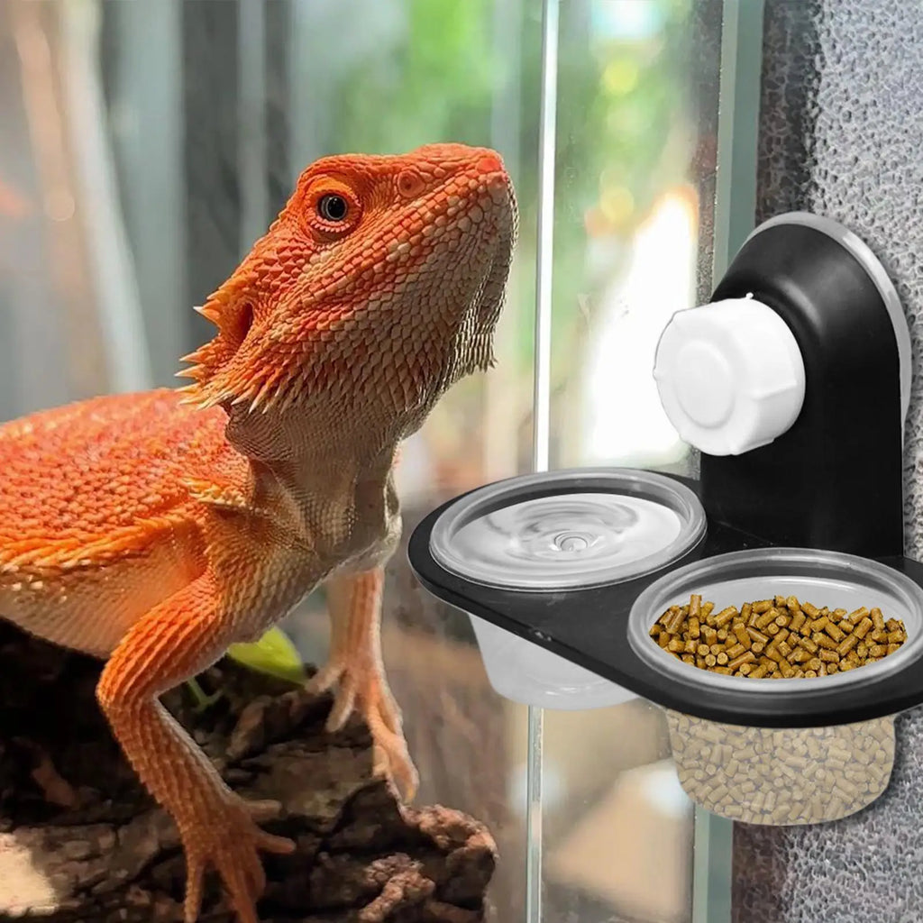 Reptile Food & Water Dish – 4-Cup Ledge Feeder Tray Reptile Feeder Dish Axl