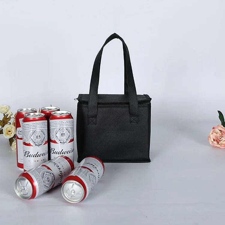 Portable Thermal Insulated Cooler Bag for Picnic & Camping Insulated Cooler Bag Axl