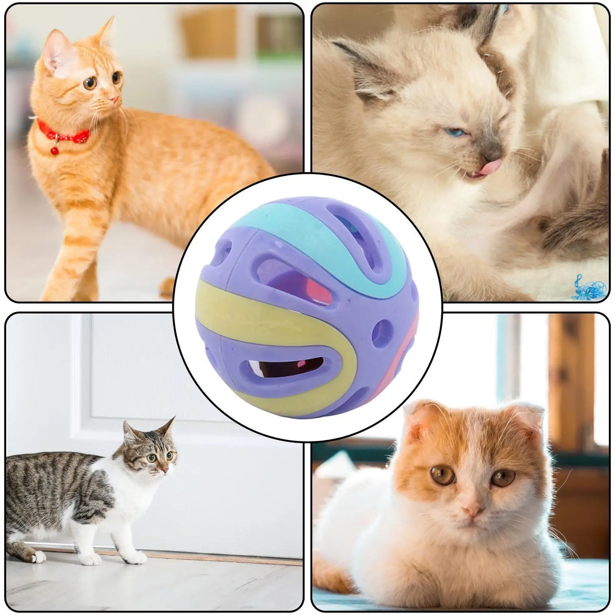 Interactive Cat Bell Ball Toy – Colorful Hollow Rattle for Kittens Cat Ball Toy Axl