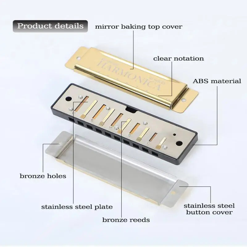 10-Hole Harmonica Key of C with Case | Beginner Gift Beginner Harmonica Axl