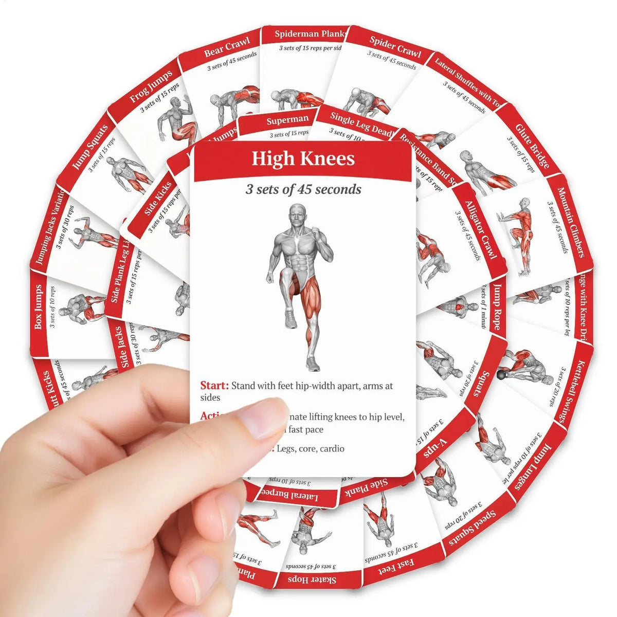 36-Piece Fitness Exercise Cards – Core & Aerobic Training Guide Fitness Training Cards Axl