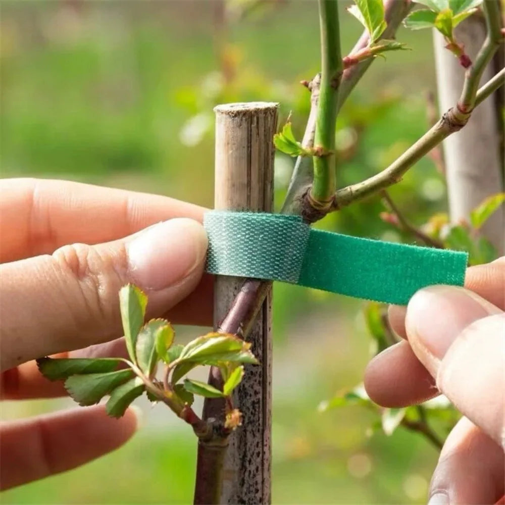 Reusable Plant Ties Hook & Loop Garden Tape 5M & 15M Roll Garden Plant Ties Axl