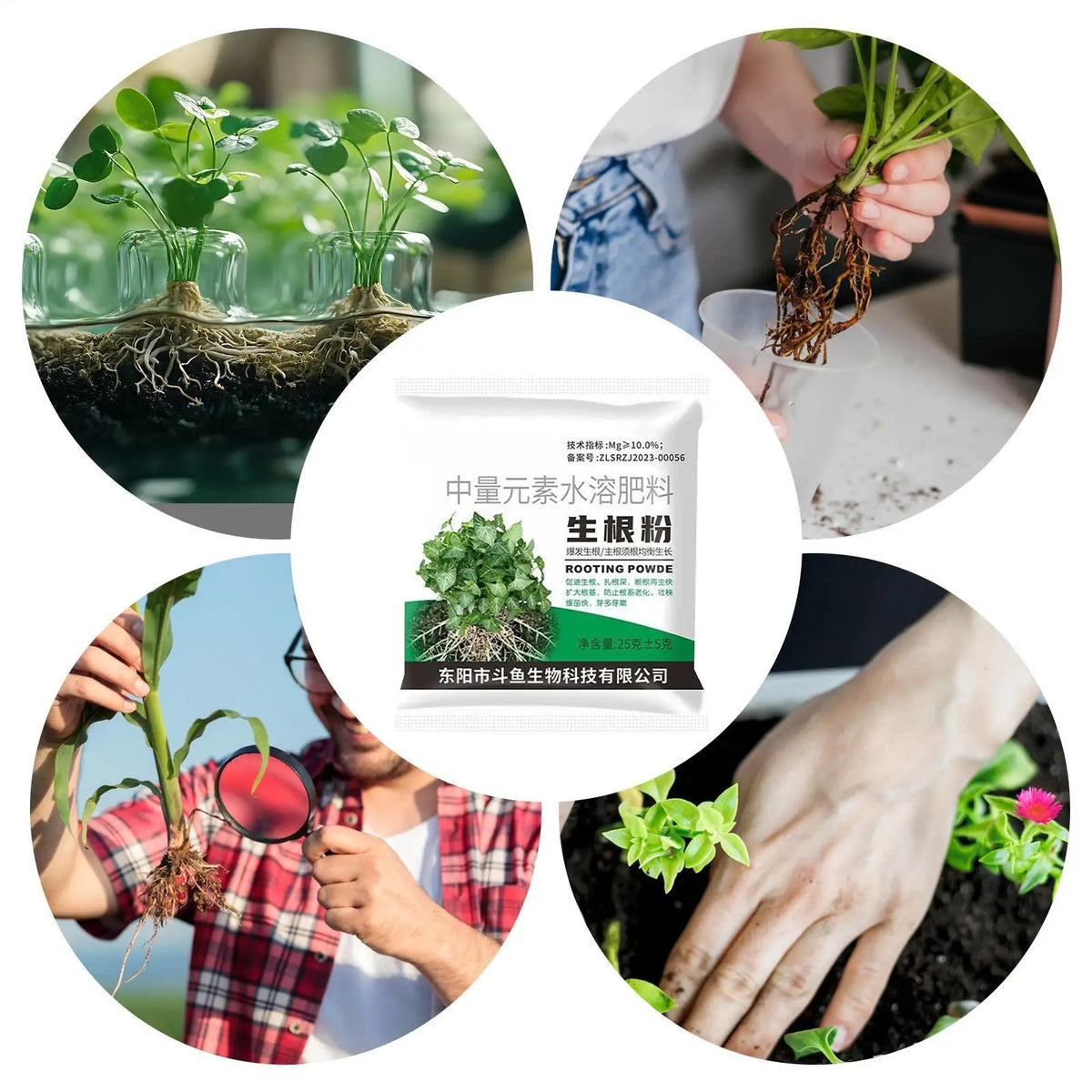 Rooting Powder for Plant Cuttings – Organic Root Stimulator Rooting Powder Axl