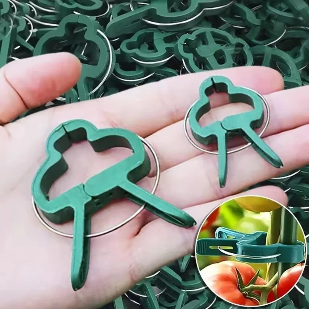 10-Pack Reusable Plant Support Clips for Tomatoes & Vines Plant Support Clips Axl