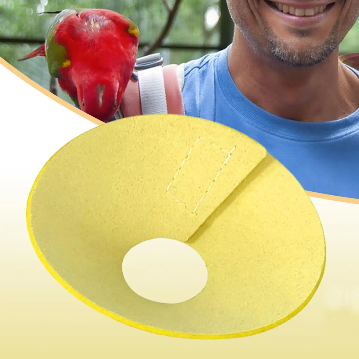 Soft Bird Elizabethan Collar – Cone for Cockatiels & Parrots Bird Protective Collar Axl