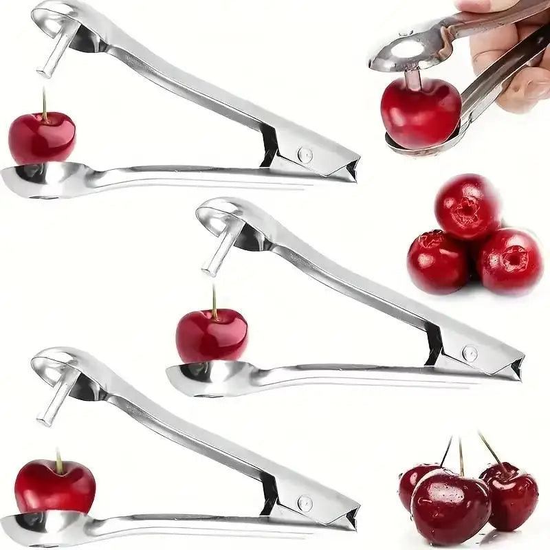 Stainless Steel Cherry Pitter – Fast One-Press Fruit Corer Fruit Pitter Tool Axl
