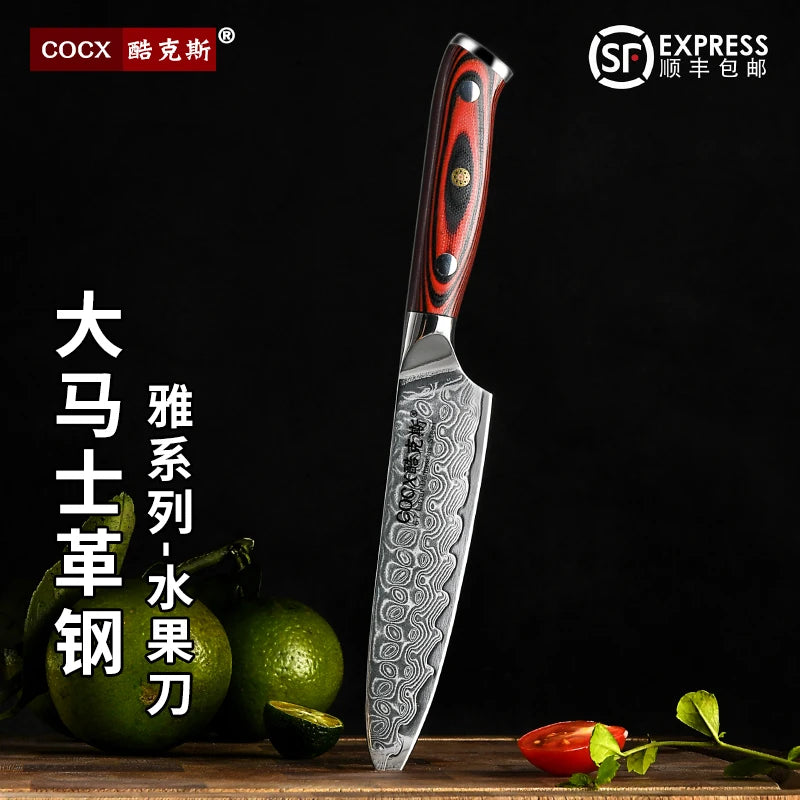 Damascus Steel Japanese Chef's Knife – 14cm Utility Kitchen Knife Damascus Chef's Knife Axl F10Y Fruit Knife