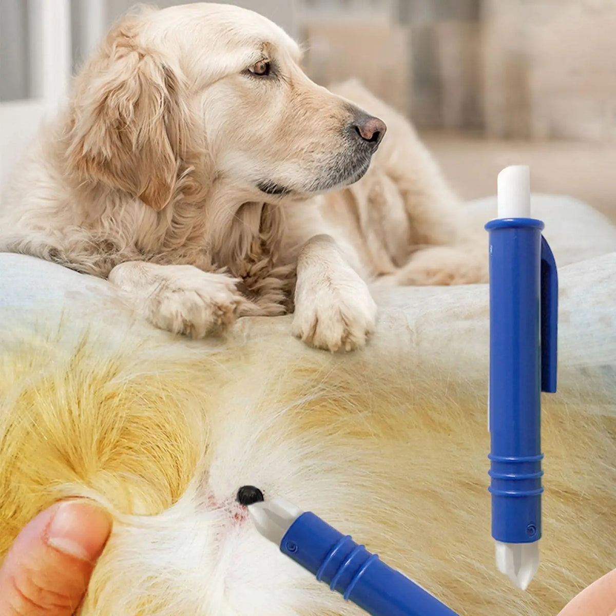 4-Piece Pet Tick Remover Kit – Hooks & Tweezers for Dogs & Cats Pet Tick Remover Axl