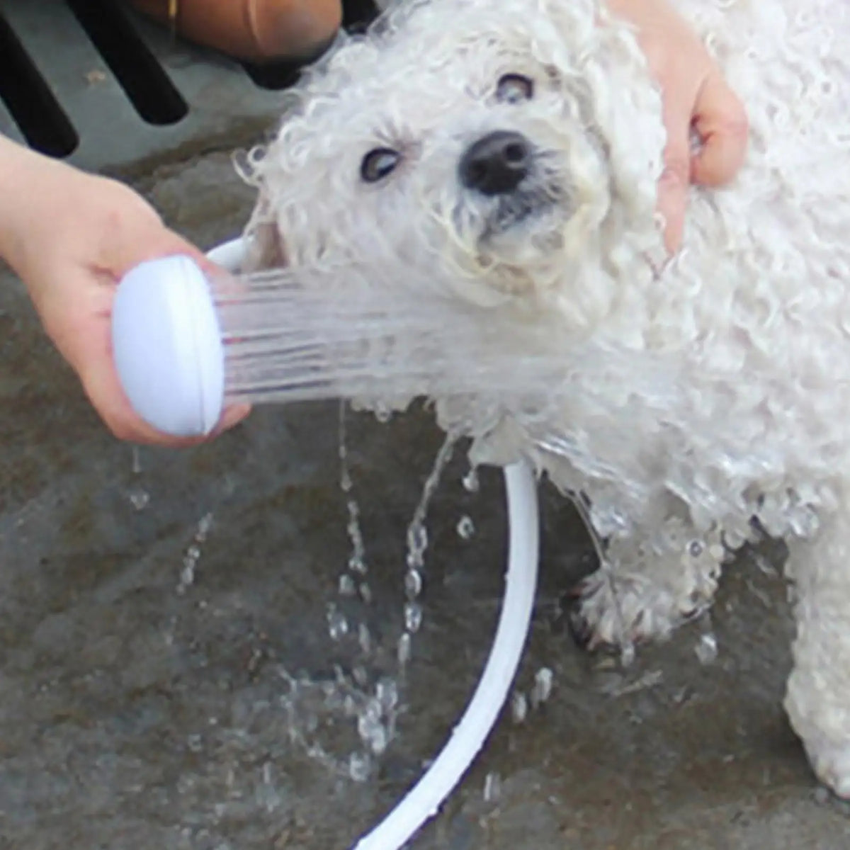 Pet Shower Sprayer – Faucet Hose Attachment for Dogs & Cats Pet Shower Sprayer Axl