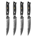 Sunnecko Damascus Steel Steak Knife Set 1–8 PCS | VG10 Core Damascus Steak Knife Set Axl 4PCS Knives Set China Mainland