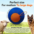 45cm Inflatable Herding Ball for Dogs | Large Breed Training Toy Dog Herding Ball Axl Blue