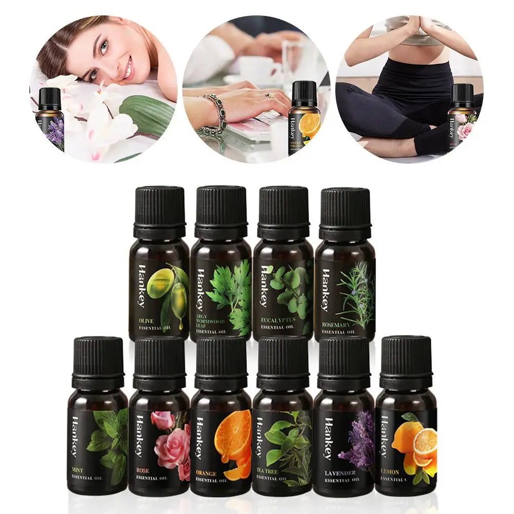 10ml Plant Fragrance Oil for Diffuser, DIY Candle & Soap Fragrance Essential Oil Axl