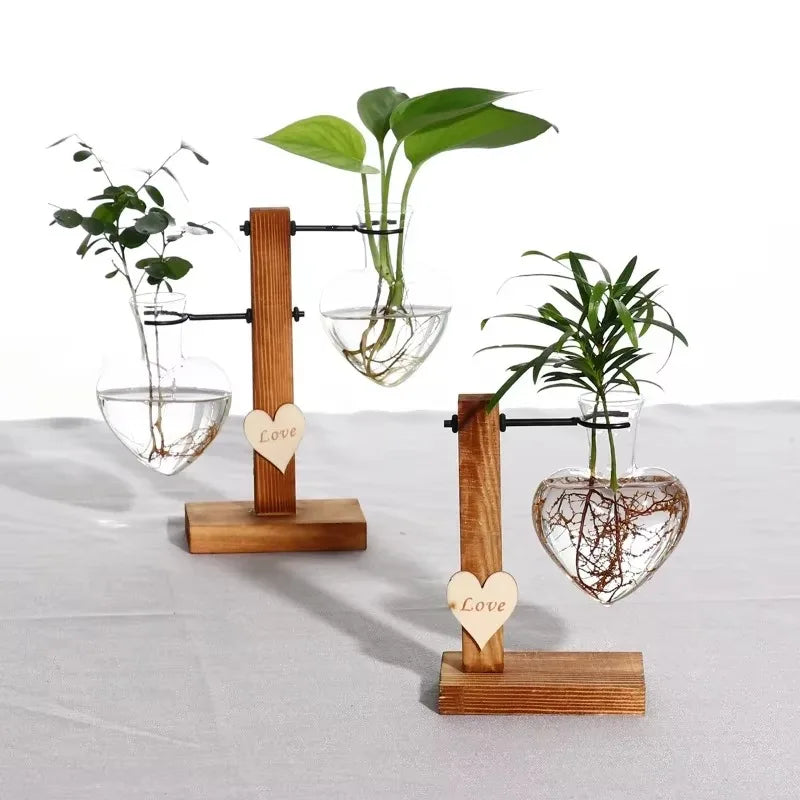 Vintage Glass Hydroponic Vase & Plant Propagation Station Hydroponic Vase Axl
