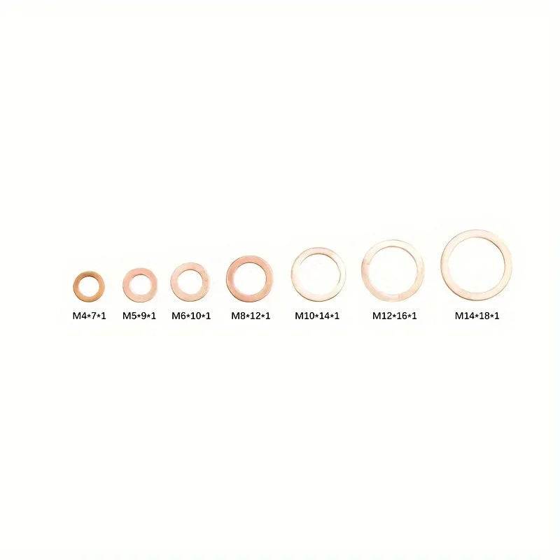 Metal Flat Ring Gasket Sealing Kit – Assorted Component Set Gasket Sealing Kit Axl