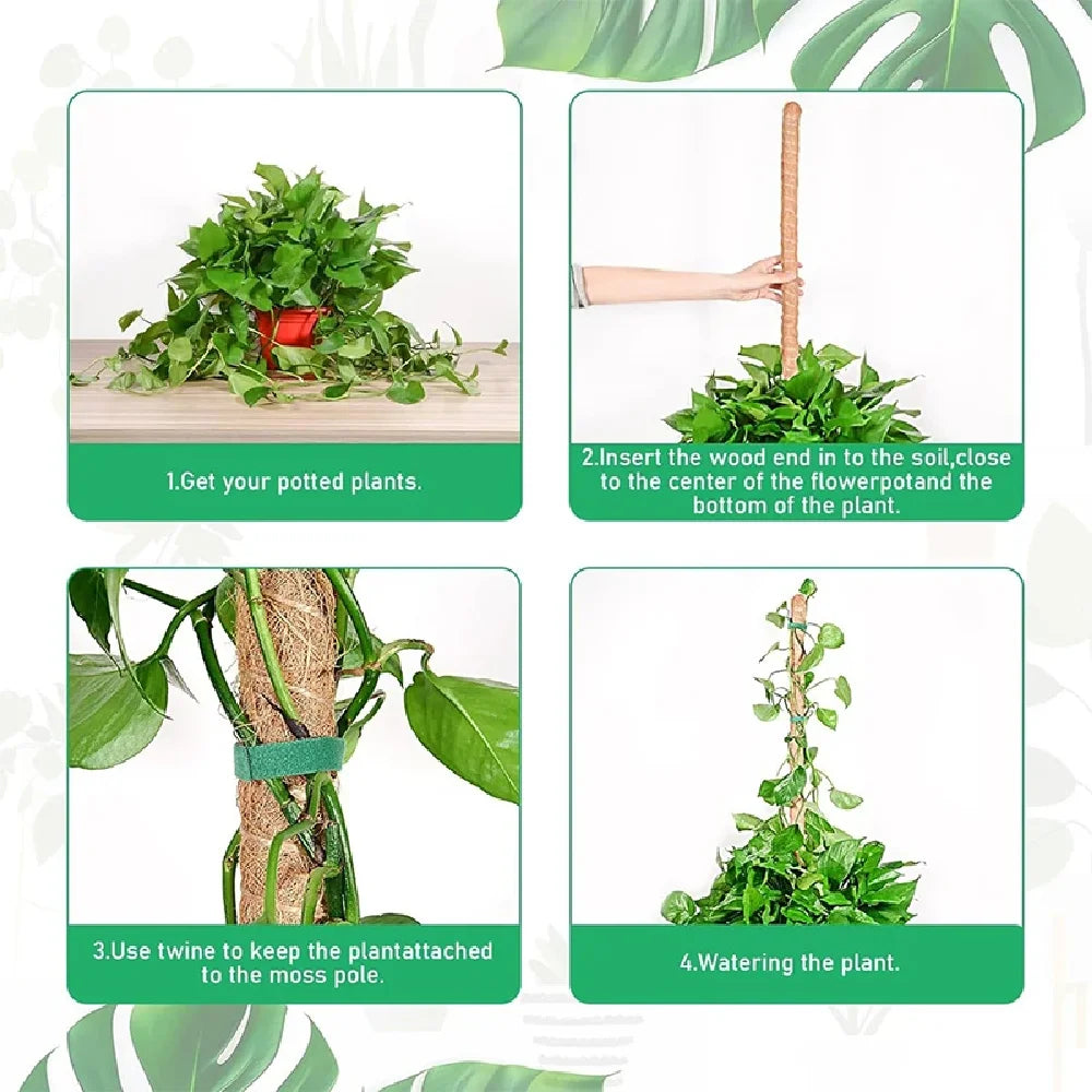 Deformable Plant Scaffold – Flexible Indoor & Outdoor Support Plant Support Stake Axl