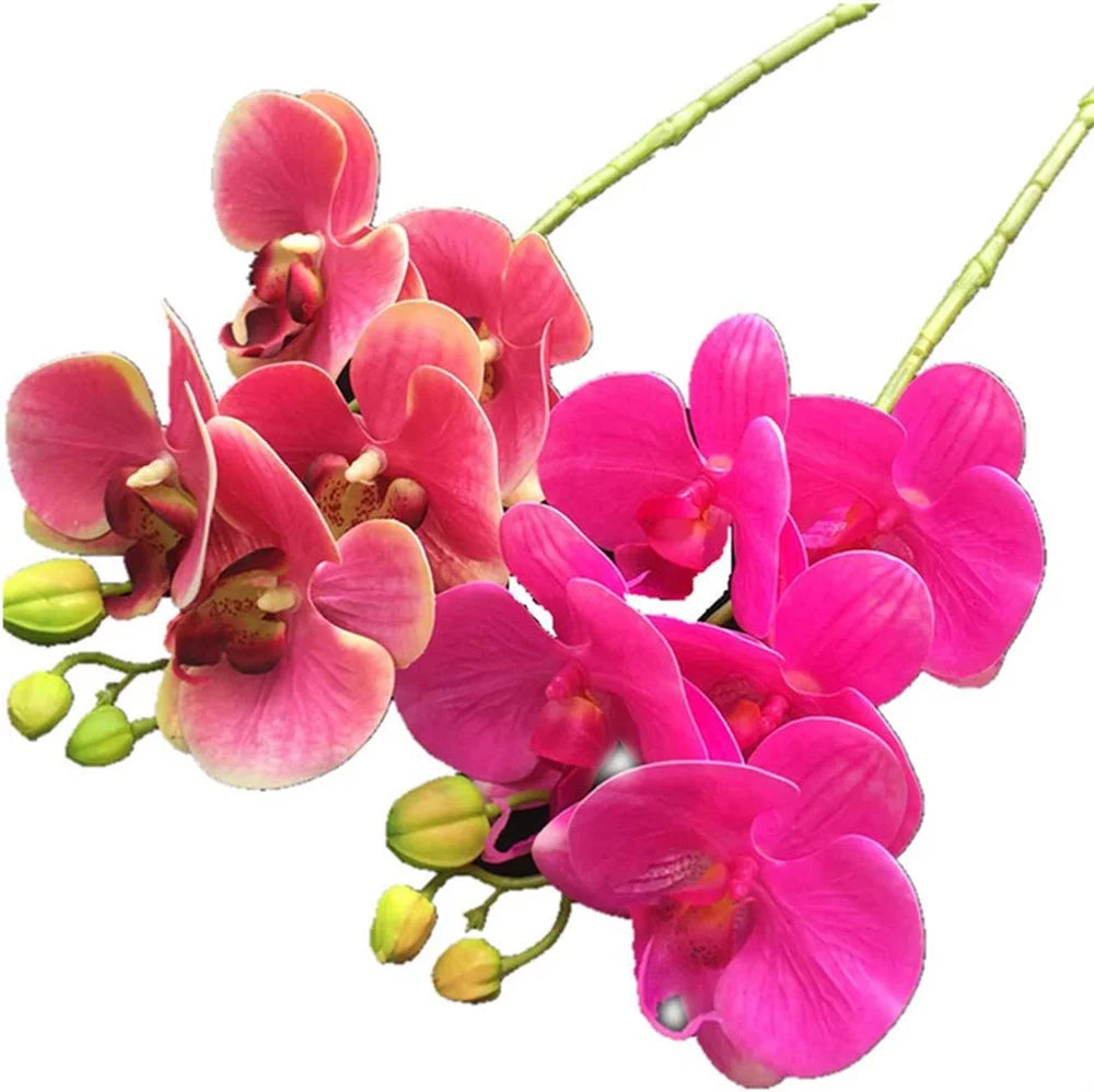 5-Head Real Touch Artificial Phalaenopsis Orchid Branch | 68cm Artificial Flower Branch Axl