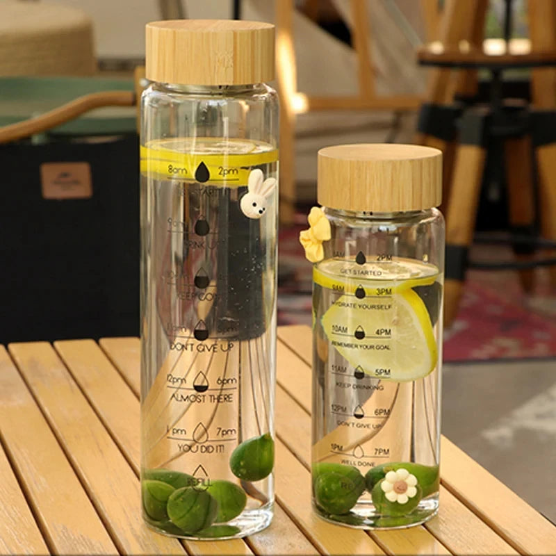 700ml Glass Water Bottle with Tea Infuser & Time Scale Glass Water Bottle Axl