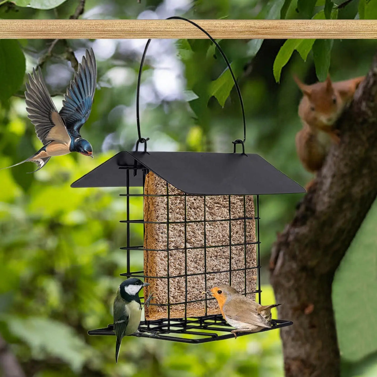 Metal Cage Suet Bird Feeder – Squirrel Proof Outdoor Station Suet Bird Feeder Axl