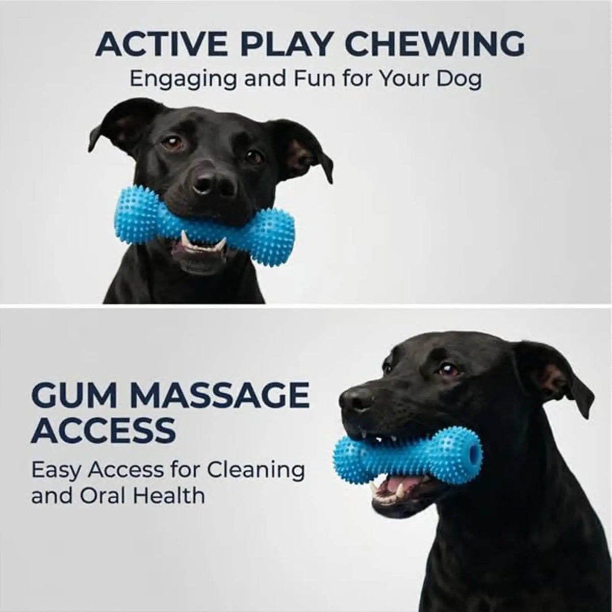 Double-Action Puppy Chew Toy – Rubber Teething Stick for Dogs Dog Chew Toy Axl