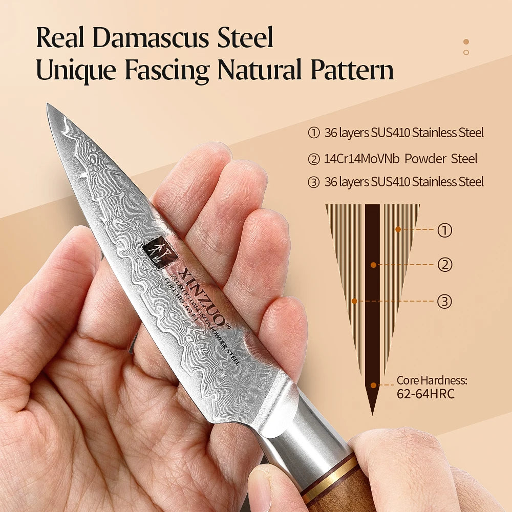 XINZUO Damascus Paring Knife 3.5" – 73-Layer Steel Olive Wood Damascus Paring Knife Axl