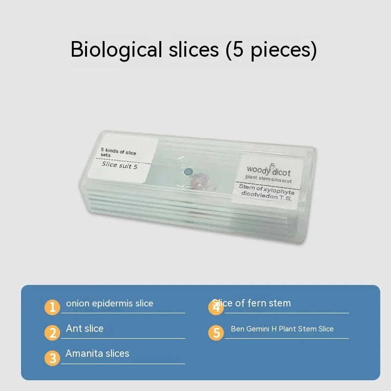 Animal & Plant Cell Slide Specimens – Biology Teaching Kit Microscope Slide Kit Axl