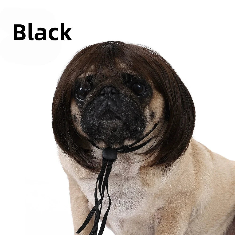 Funny Pet Bob Wig for Cats & Dogs – Halloween Cosplay Pet Costume Wig Axl black