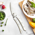 Professional Stainless Steel Kitchen Scissors & Food Shears Kitchen Scissors Axl Scissors-White