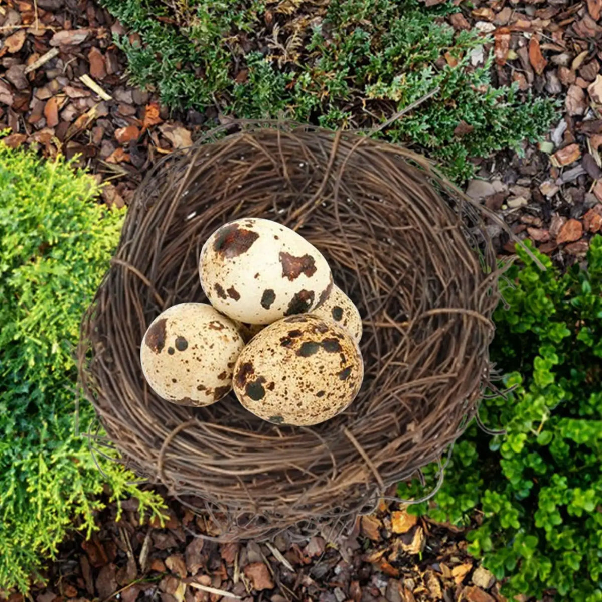 Handwoven Rattan Bird Nest – Parakeet & Small Animal Cage House Bird Nest House Axl Red