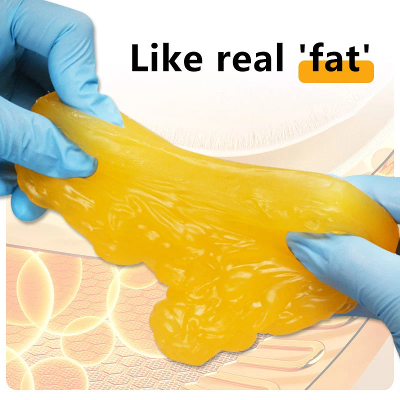 1 lb Human Fat Tissue Replica Model – Silicone Anatomy Demo Anatomical Model Axl