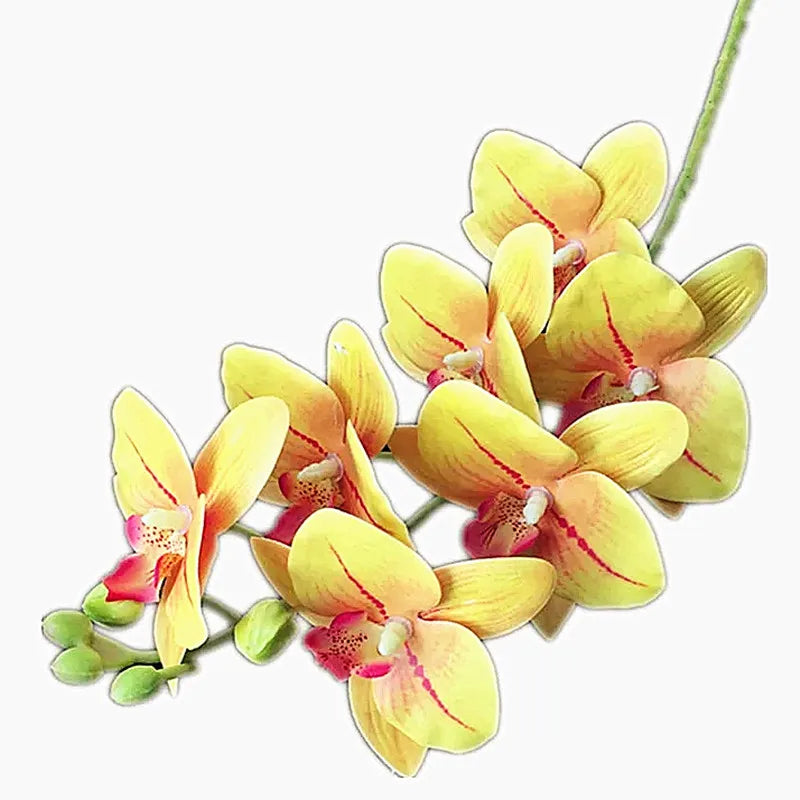 Artificial Phalaenopsis Orchid Branch – 7 Heads, Real Touch 69cm Artificial Flower Stem Axl YELLOW
