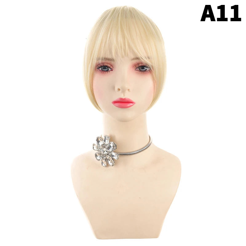 Synthetic Wig Bangs Clip-In Hair Extensions for Women Clip-In Hairpiece Axl A11