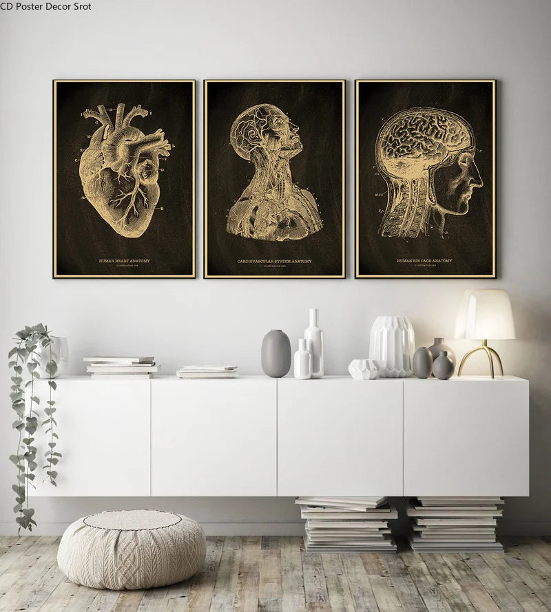 Anatomical Skeleton Vintage Kraft Paper Poster | Medical Wall Art Wall Art Poster Axl