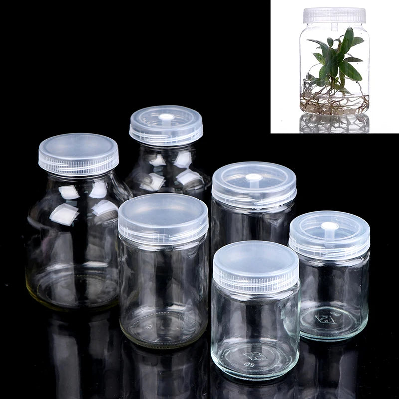 240ml Glass Tissue Culture Jar – Plant Seedling Propagation Tissue Culture Jar Axl