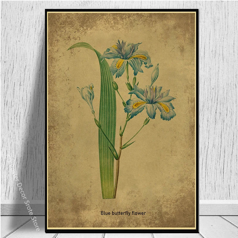 Vintage Botanical Floral Poster – Herb Rose & Butterfly Wall Art Botanical Wall Poster Axl