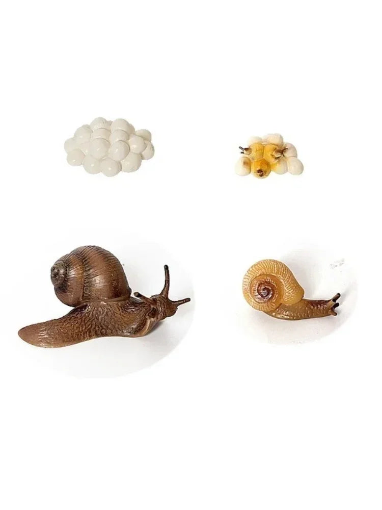 Realistic PVC Snail Animal Model | Kawaii Miniature Garden Decor Miniature Animal Figurine Axl