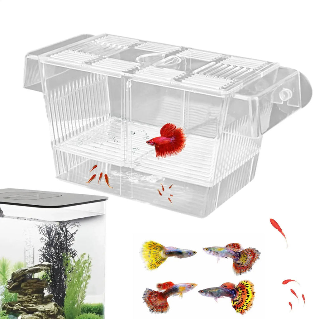 Acrylic Fish Breeding Box – Aquarium Nursery & Hatchery Aquarium Breeder Box Axl