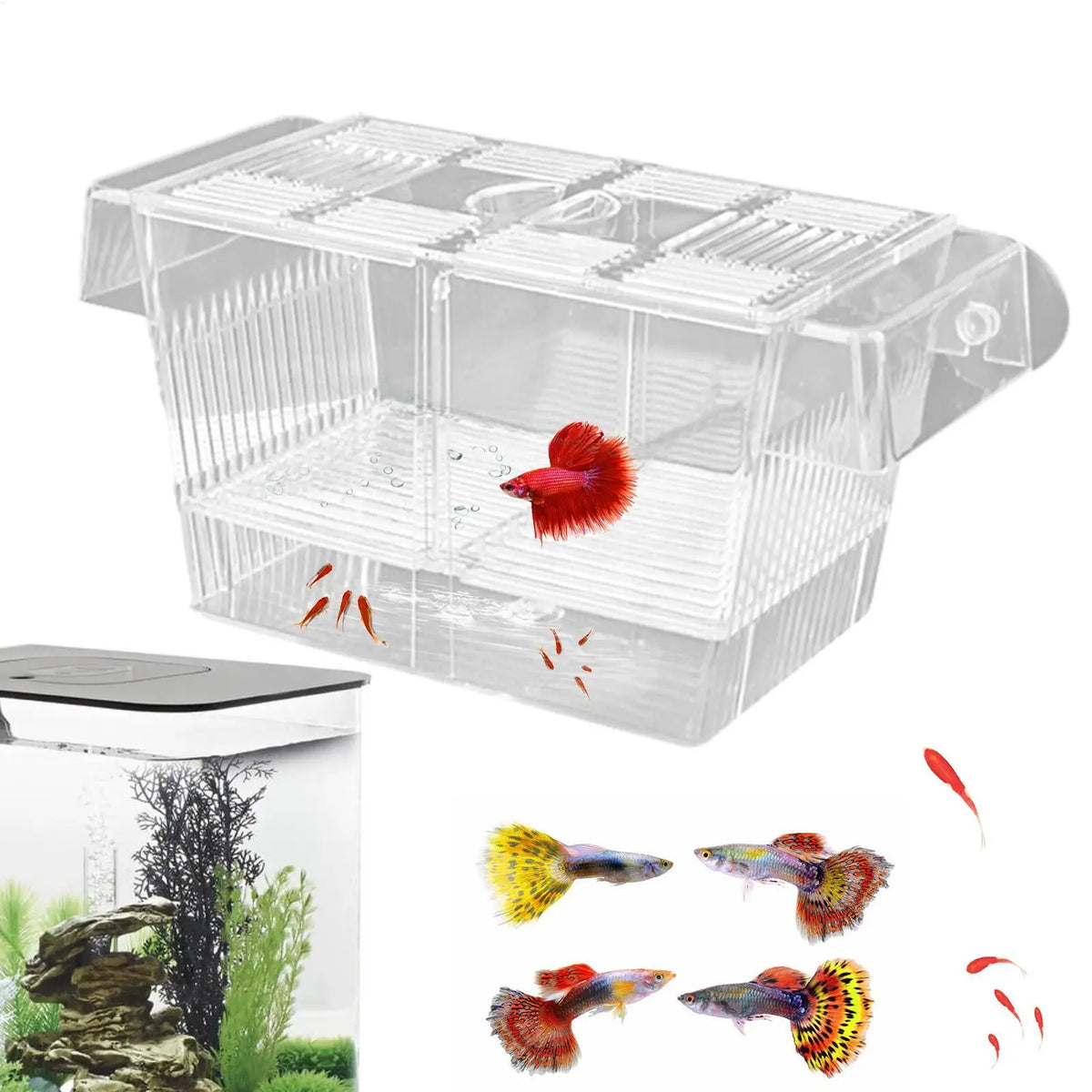 Acrylic Fish Breeding Box – Aquarium Nursery & Hatchery Aquarium Breeder Box Axl