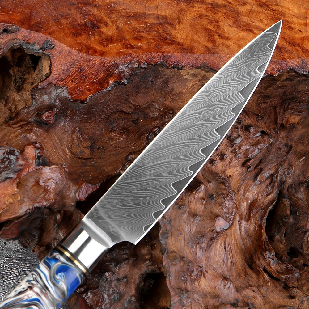 XITUO 5-Inch Damascus Steel Utility Knife – Sharp Resin Handle Damascus Kitchen Knife Axl
