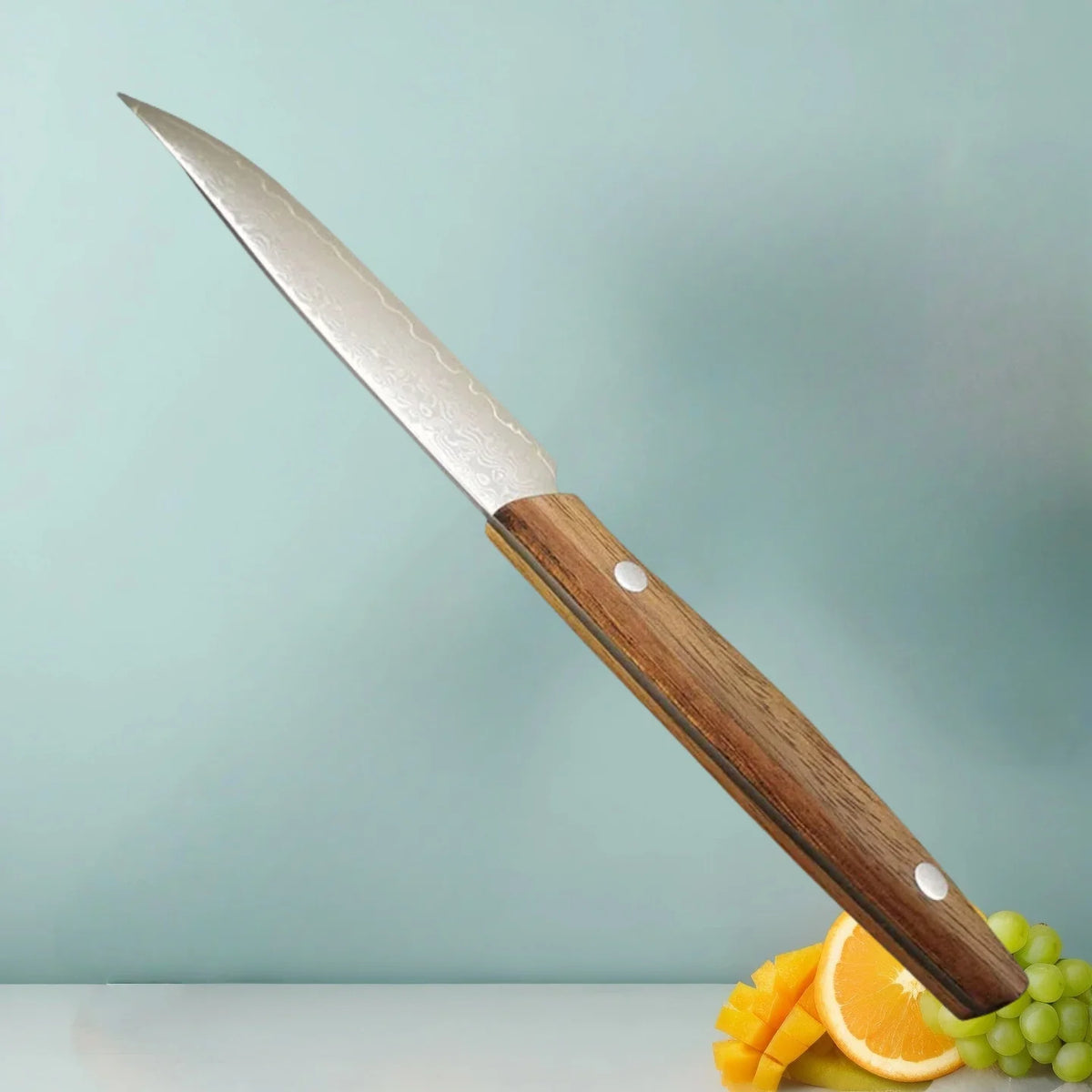 4" Damascus Steel Paring Knife with Wood Handle & Cover Damascus Paring Knife Axl