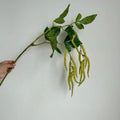 Amaranth Artificial Flower Stems – Fake Greenery for Weddings Artificial Flower Stems Axl Yellow-green