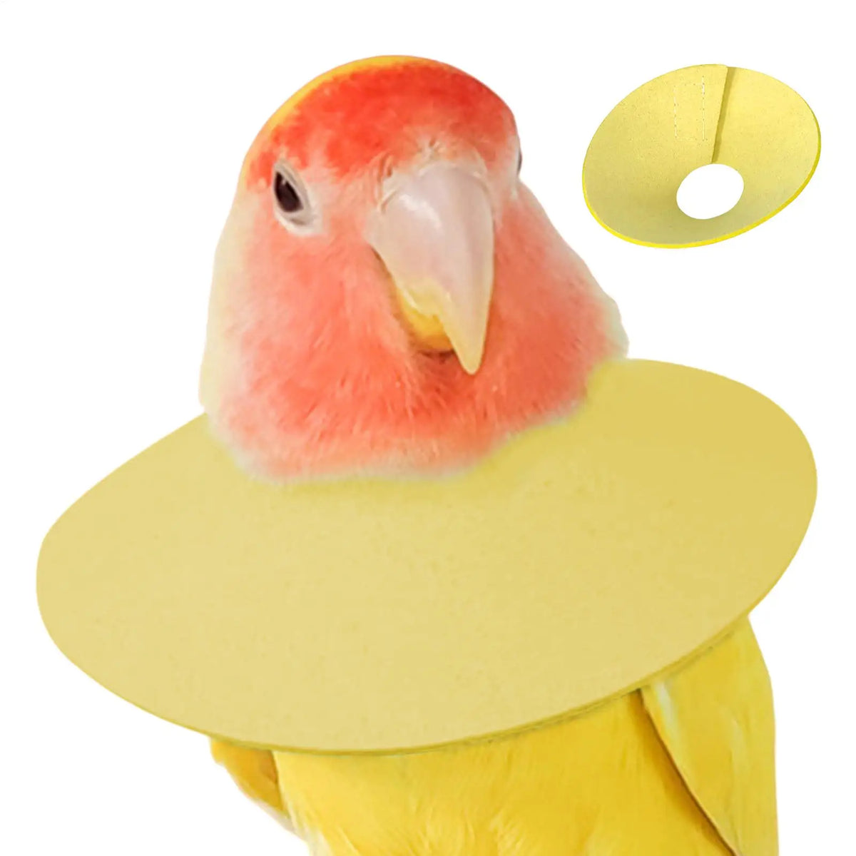 Soft Bird Elizabethan Collar – Cone for Cockatiels & Parrots Bird Protective Collar Axl