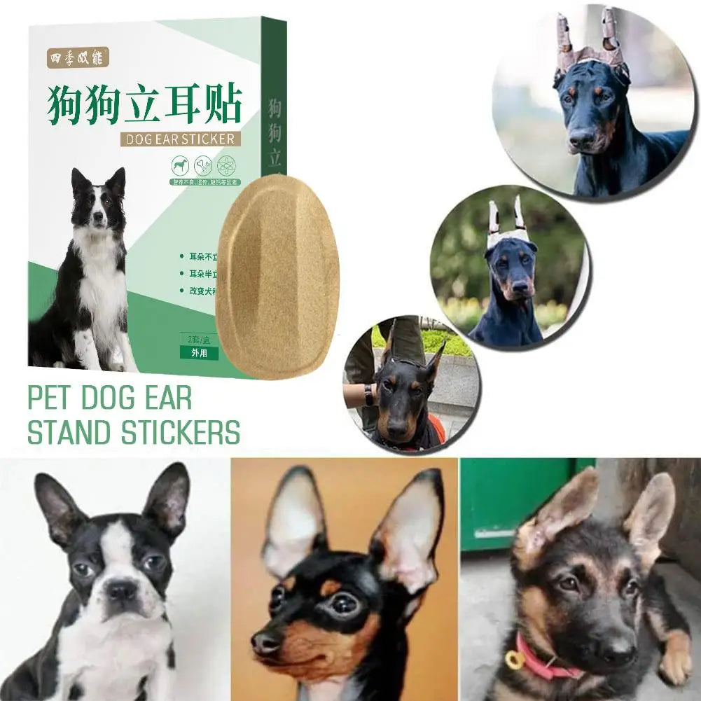 Dog Ear Stand Up Stickers – 2pc Set for Large & Small Dogs Dog Ear Stickers Axl
