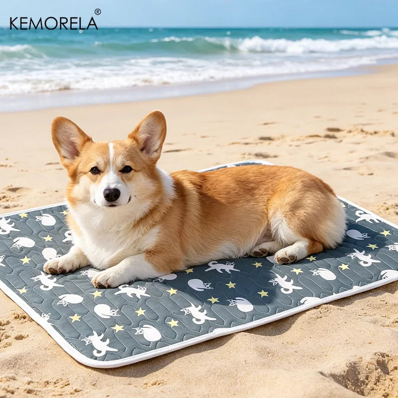 Ice Silk Pet Cooling Mat – Waterproof Dog & Cat Sleeping Pad Pet Cooling Mat Axl
