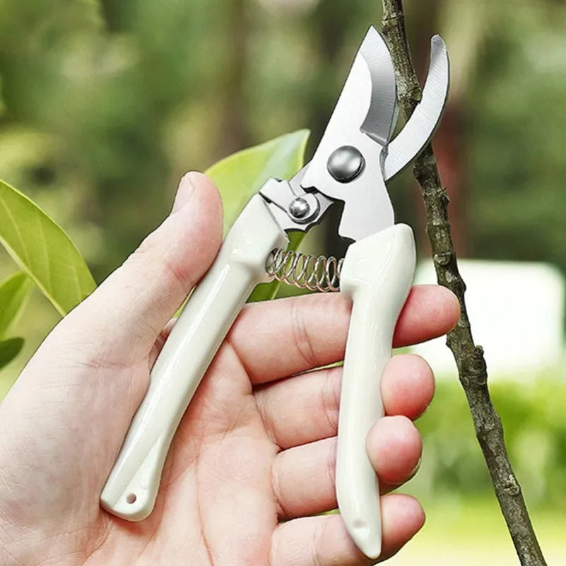 Stainless Steel Pruning Scissors – Flower, Garden & Grafting Pruning Scissors Axl